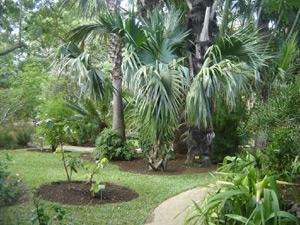 Parc de la R�union