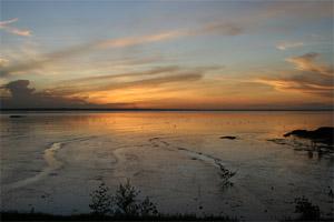 Parco Amazzonico della Guyane