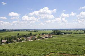 I vigneti